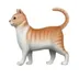 Cat emoji on Sui logo