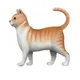 Cat emoji on Sui logo