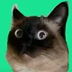 Merv The Cat logo
