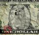 Better Than Dollars logo