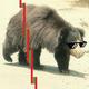 DOGE BEAR logo