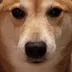 New Tiktok Doge logo