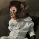 Jorgie Monkey logo