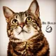 Tara Hero Cat logo