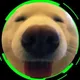 Doge Good Boy logo