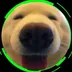 Doge Good Boy logo