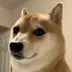 New Doge logo