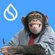 ChimpanSui logo