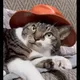 Cat Wif Hat logo