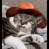 Cat Wif Hat logo