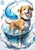 Water Shiba logo