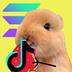 CritterCharm On TikTok logo