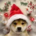 DogWifSantaHat logo
