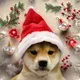 DogWifSantaHat logo
