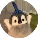 squidy logo