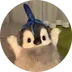 squidy logo