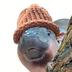 Moo Deng Wif Hat logo