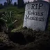 Rip Kekius Maximus logo