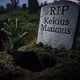 Rip Kekius Maximus logo