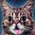 Lil Bub (ticker: BUB) logo