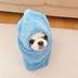Sui Wrapped Dog logo