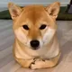 LOAF logo