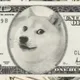 Official DogeLar logo