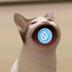 POPCAT logo