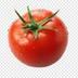 Tomatto logo