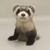 First Clone-born animal logo