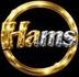 Нams logo