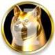doge logo