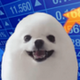 EggDog logo