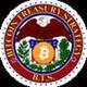 Bitcoin Treasury Strategy logo