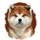 SHEPKITA INU logo