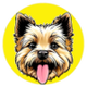 TOTO logo