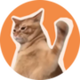 Catslap logo