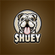 Huey logo