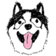 KUMA logo