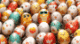 SunEgg logo