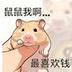 鼠鼠我啊 logo
