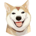 KABOCHAN logo
