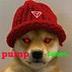 WIF PUMP logo