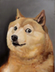 Doge logo
