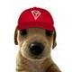 TRILLY logo