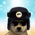 SunDogWifHat logo