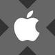Wrapped Apple xStock logo