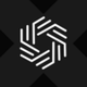 Leverage Shares 2X Long SPCX Daily ETF xStock logo