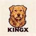 KINGX logo