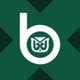 W.R. Berkley xStock logo